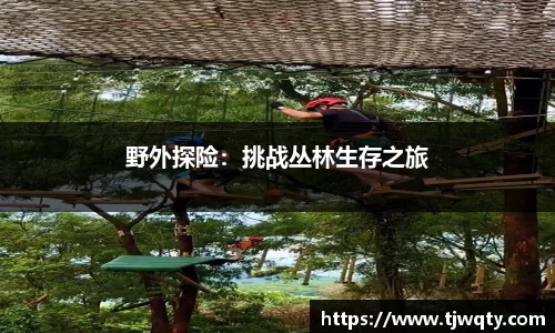 球速体育